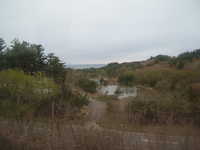  dscf0643.jpg 
