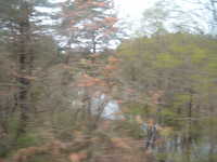  dscf0644.jpg 
