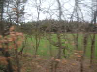  dscf0645.jpg 