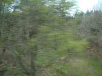  dscf0646.jpg 