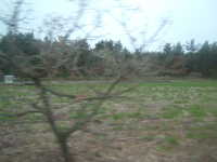  dscf0647.jpg 