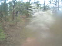  dscf0648.jpg 