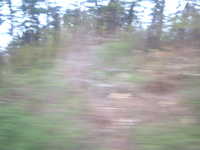  dscf0650.jpg 