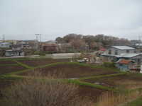  dscf0653.jpg 