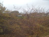  dscf0660.jpg 