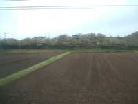 dscf0661.jpg 