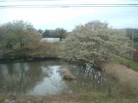  dscf0662.jpg 