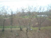  dscf0663.jpg 