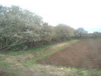  dscf0664.jpg 