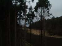  dscf0668.jpg 