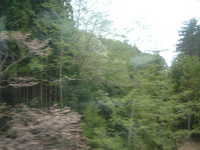  dscf0669.jpg 