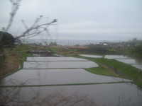  dscf0671.jpg 