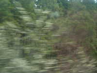  dscf0672.jpg 