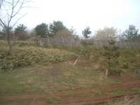  dscf0673.jpg 