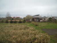  dscf0674.jpg 