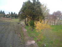  dscf0677.jpg 