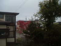  dscf0678.jpg 
