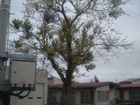  dscf0683.jpg 