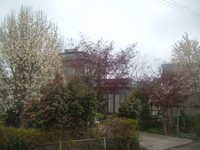  dscf0690.jpg 