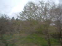 dscf0694.jpg 