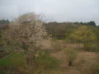  dscf0699.jpg 