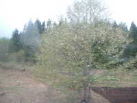  dscf0701.jpg 