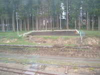  dscf0716.jpg 