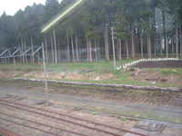  dscf0717.jpg 