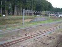 dscf0719.jpg 