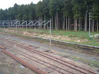  dscf0723.jpg 