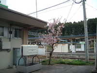  dscf0727.jpg 