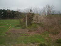  dscf0750.jpg 