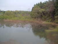  dscf0753.jpg 