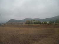  dscf0768.jpg 