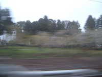  dscf0838.jpg 