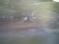  dscf0839.jpg 