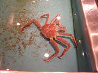  dscf0940.jpg 