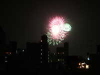  dscf0195.jpg 