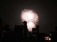  dscf0198.jpg 
