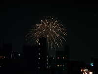  dscf0250.jpg 
