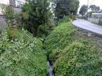  dscf0411.jpg 