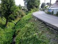  dscf0417.jpg 