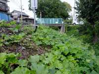  dscf0428.jpg 