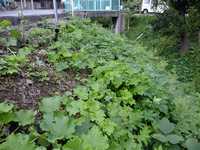  dscf0430.jpg 