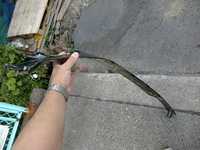  dscf0436.jpg 
