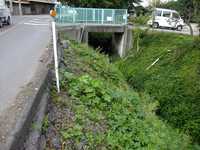  dscf0443.jpg 