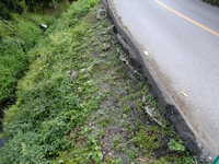  dscf0462.jpg 