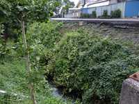  dscf0470.jpg 