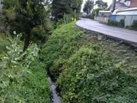  dscf0472.jpg 
